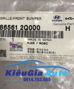 LƯỚI CẢN TRƯỚC HYUNDAI AVANTE 15 LƯỚI CẢN TRƯỚC HYUNDAI AVANTE