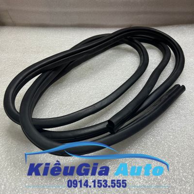 Gioăng thân xe Ford Focus 2005-2012 3 Gioăng thân xe Ford Focus 2005-2012 - Ảnh 3