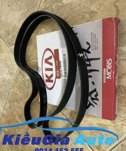 phutunggiare.vn - DÂY CUROA TỔNG KIA CERATO - 252122B000-1