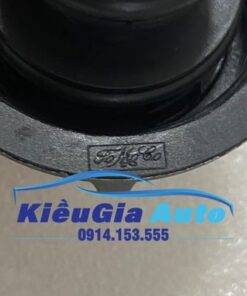 Nắp bình nước phụ Ford Ecosports 8 Nắp bình nước phụ Ford Ecosports