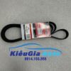 Dây curoa tổng Ford Escape 2.0 2001-2006